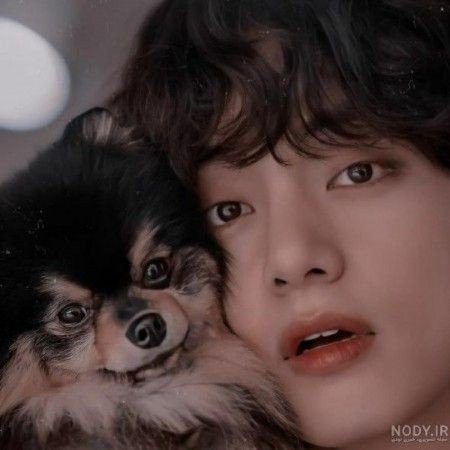  عکس سگ کیوت فانتزی