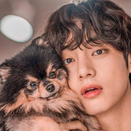  عکس سگ کیوت فانتزی