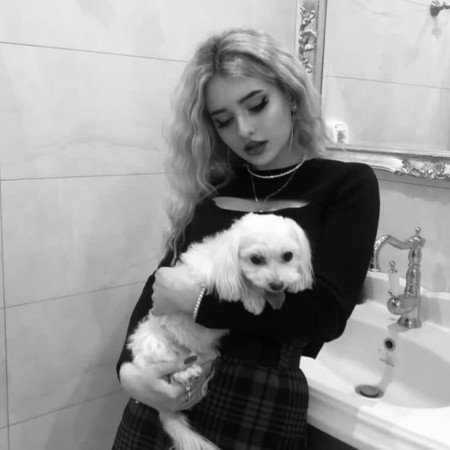  عکس سگ کیوت فانتزی