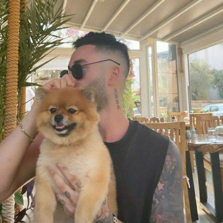  عکس سگ کیوت فانتزی