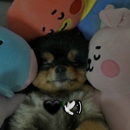  عکس سگ کیوت فانتزی