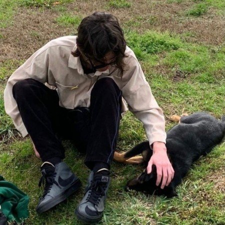  عکس سگ کیوت فانتزی