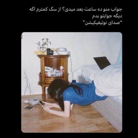  عکس سگ کیوت فانتزی