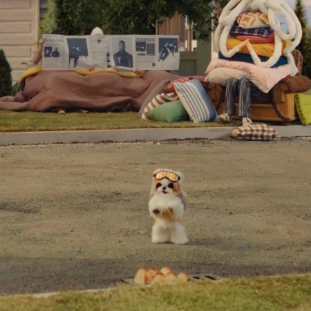  عکس سگ کیوت فانتزی