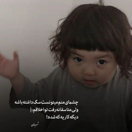  عکس سگ کوچولو خوشگل برای پروفایل