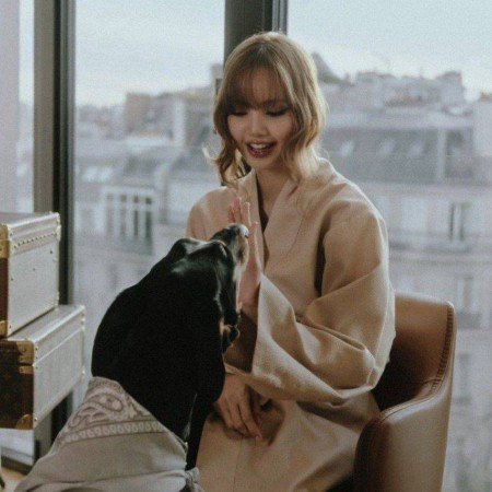  عکس سگ کوچولو خوشگل برای پروفایل