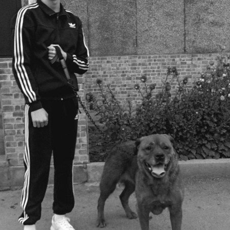  عکس سگ خارجی