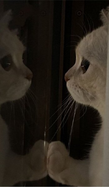  عکس تصویر زمینه