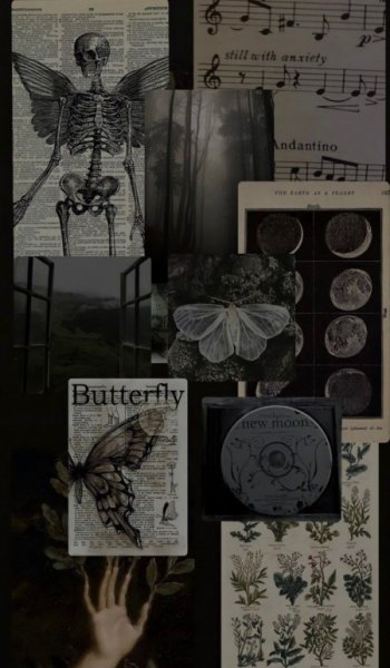  عکس تصویر زمینه