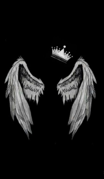  عکس پس زمینه شیک و خاص