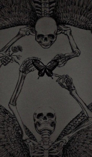  عکس پس زمینه شیک و خاص