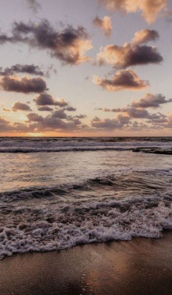  عکس پس زمینه ساده و زیبا