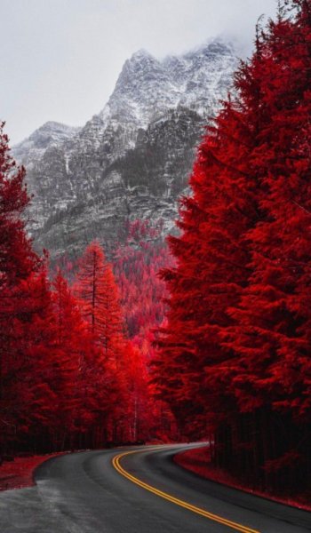  عکس پس زمینه گوشی خفن