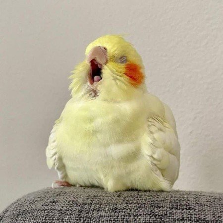  تصویر زمینه لاکچری