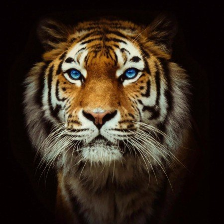  عکس پروفایل پسرانه لاتی خفن