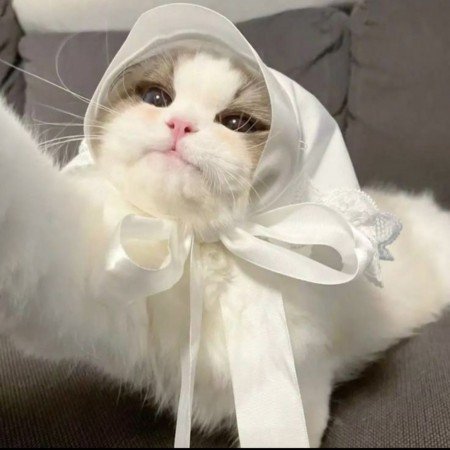  عکس فیک پسرونه 18 ساله مو فرفری