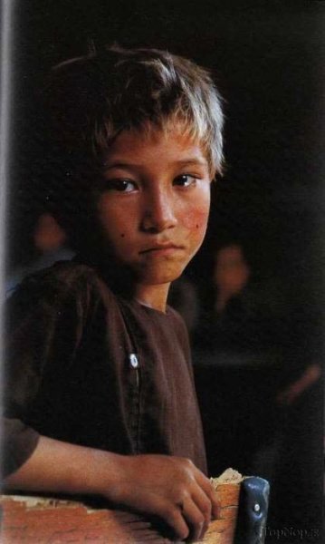  عکس افغانی با تفنگ