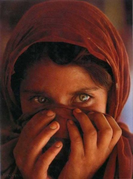  عکس افغانی با تفنگ