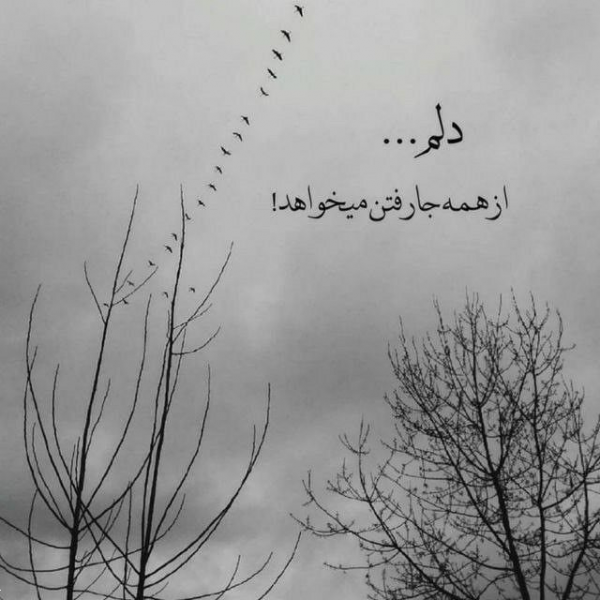  100 عکس پروفایل شیک