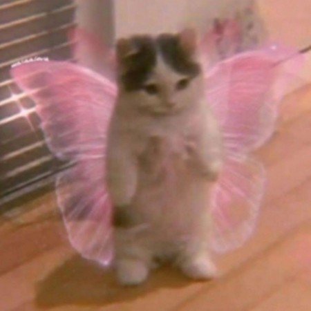  عکس پروفایل گوگولی