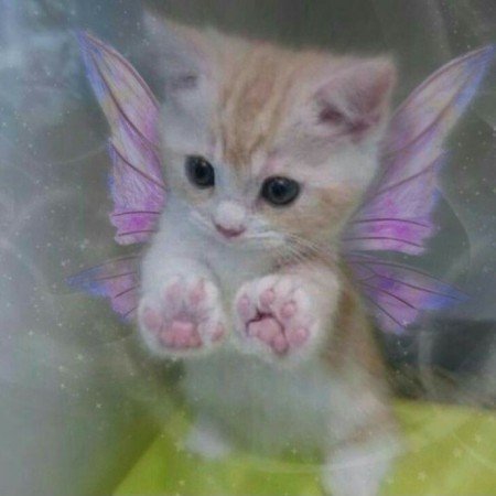  عکس کیوت فانتزی دخترانه اکلیلی