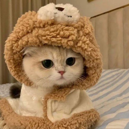  عکس کیوت فانتزی دخترانه اکلیلی