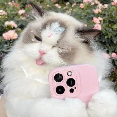  عکس کیوت فانتزی کارتونی