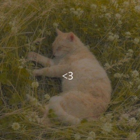  عکس کیوت فانتزی کارتونی