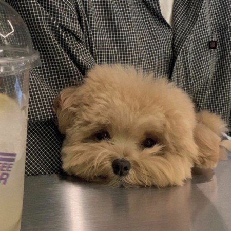  عکس کیوت فانتزی کارتونی