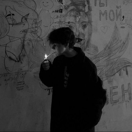  عکس کیوت شاخ