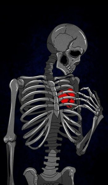  عکس کیوت شاخ