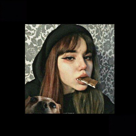  عکس کیوت شاخ