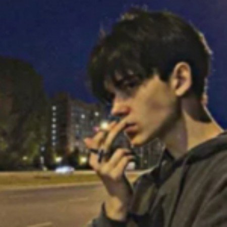  عکس کیوت شاخ