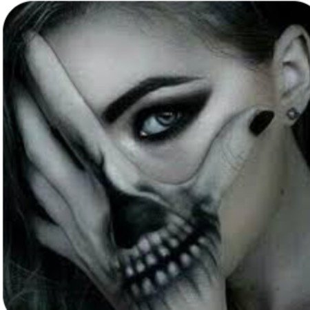  عکس کیوت شاخ