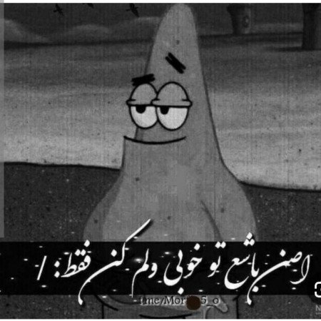  عکس کیوت شاخ