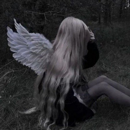  عکس کیوت شاخ