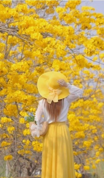  عکس های کیوت و بامزه برای پروفایل