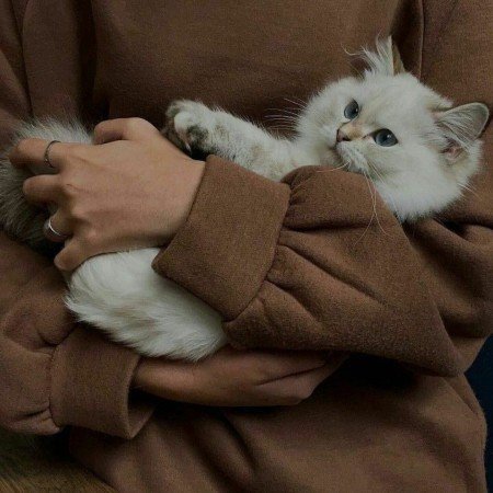  عکس گوگولی برای پروفایل