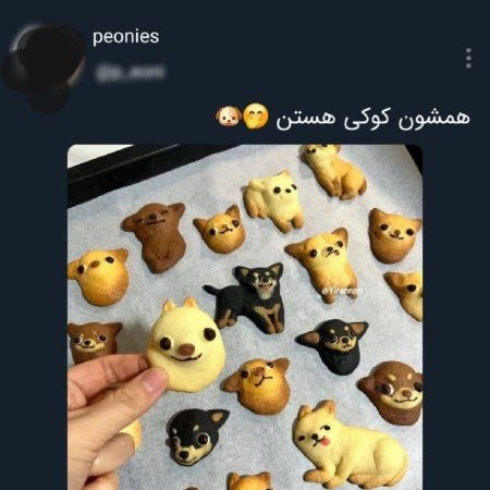  عکس گوگولی برای پروفایل