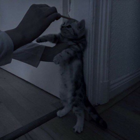  عکس گوگولی برای پروفایل