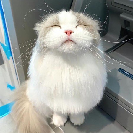  عکس گوگولی مگولی دخترونه برای پروفایل