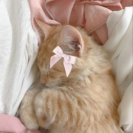  عکس گوگولی مگولی دخترونه برای پروفایل