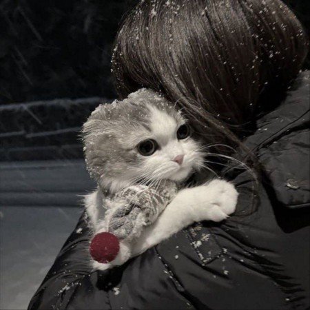  عکس گوگولی مگولی دخترونه برای پروفایل