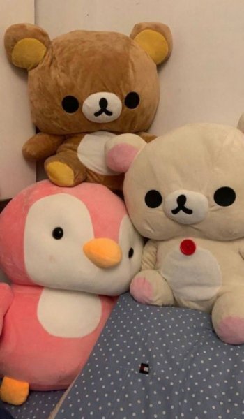  عکس های کیوت و بامزه