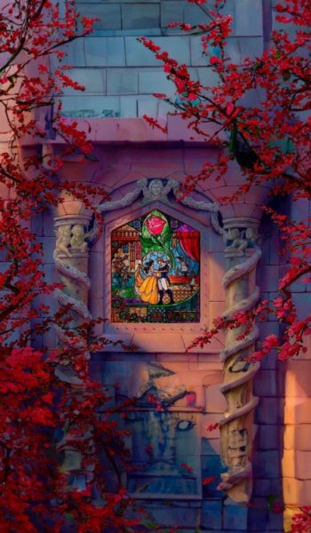  عکس های کیوت و بامزه