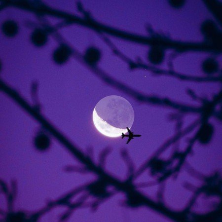 عکس بنفش لاکچری