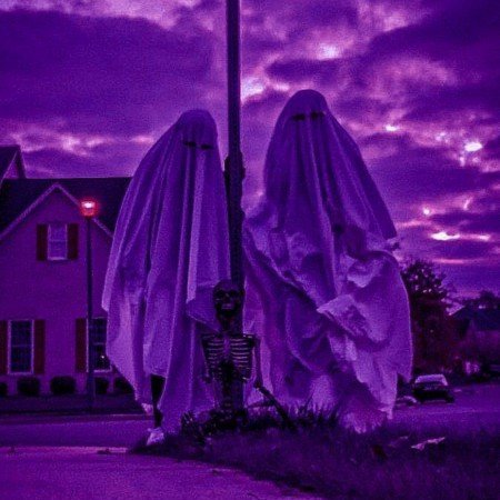  عکس بنفش لاکچری