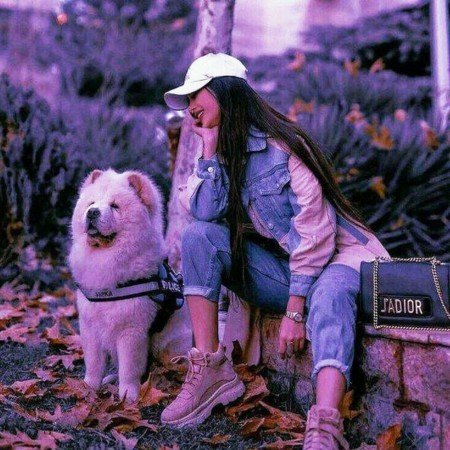  عکس بنفش لاکچری