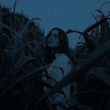  عکس بنفش لاکچری