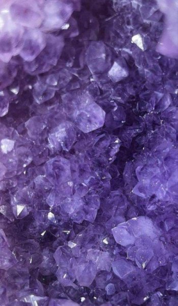  عکس بنفش لاکچری